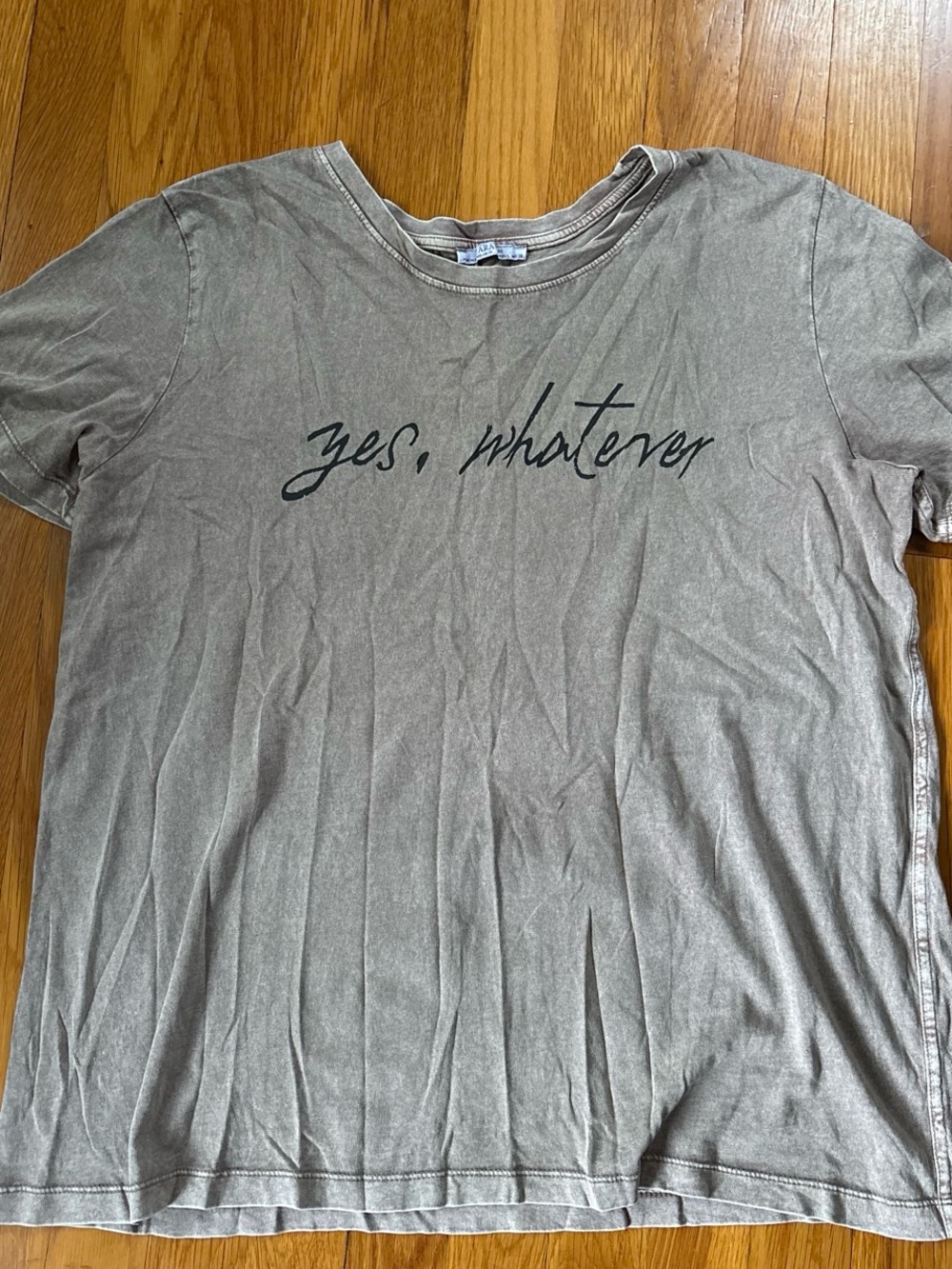 Zara BeigeBrown Crew Neck Graphic Tee.